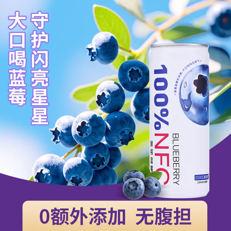 轻果姿越南进口NFC果蔬汁100%鲜榨果汁饮料250ml*6罐正品 蓝莓汁250ml*6罐