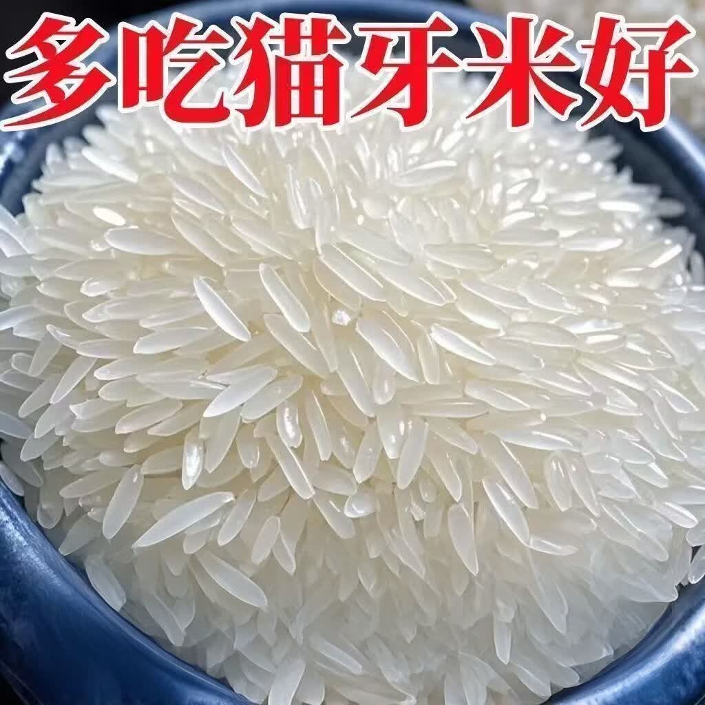 粮心妹净重50斤猫牙米新鲜25晚稻新米不抛光不打蜡丝苗长粒米家用饭店 爆品猫牙米50斤