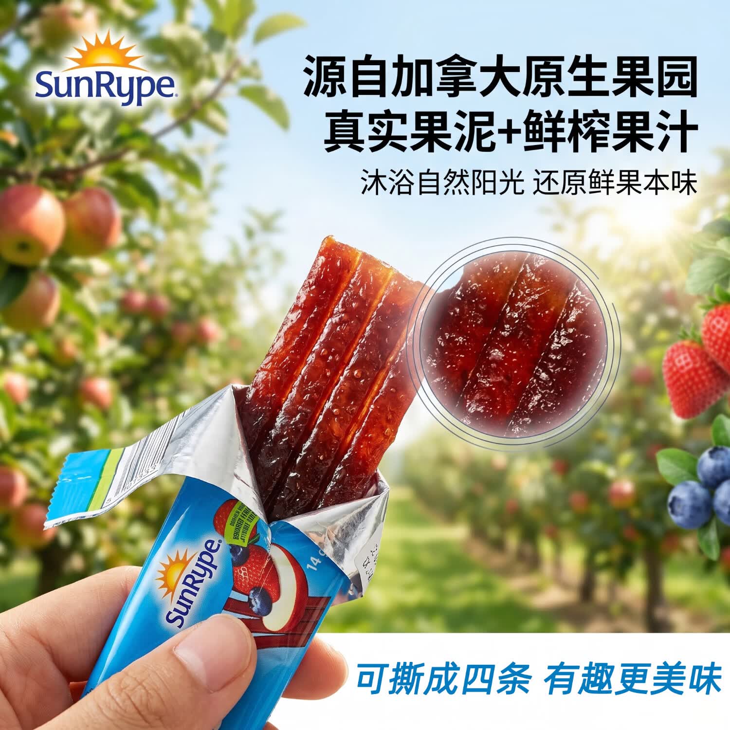 SunRype加拿大进口果肉条儿童零食6-12岁无添加独立包装1-3岁-6岁无添加 24条袋装(草莓味12条+野莓味12条)