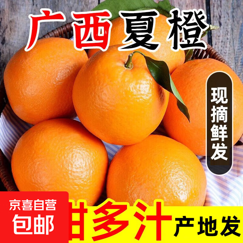广西新鲜夏橙大山现摘橙子大果应季水果酸甜多汁手剥脐橙直发整箱 黄绿色 带箱9-10斤-净果8.5斤果大小80mm+