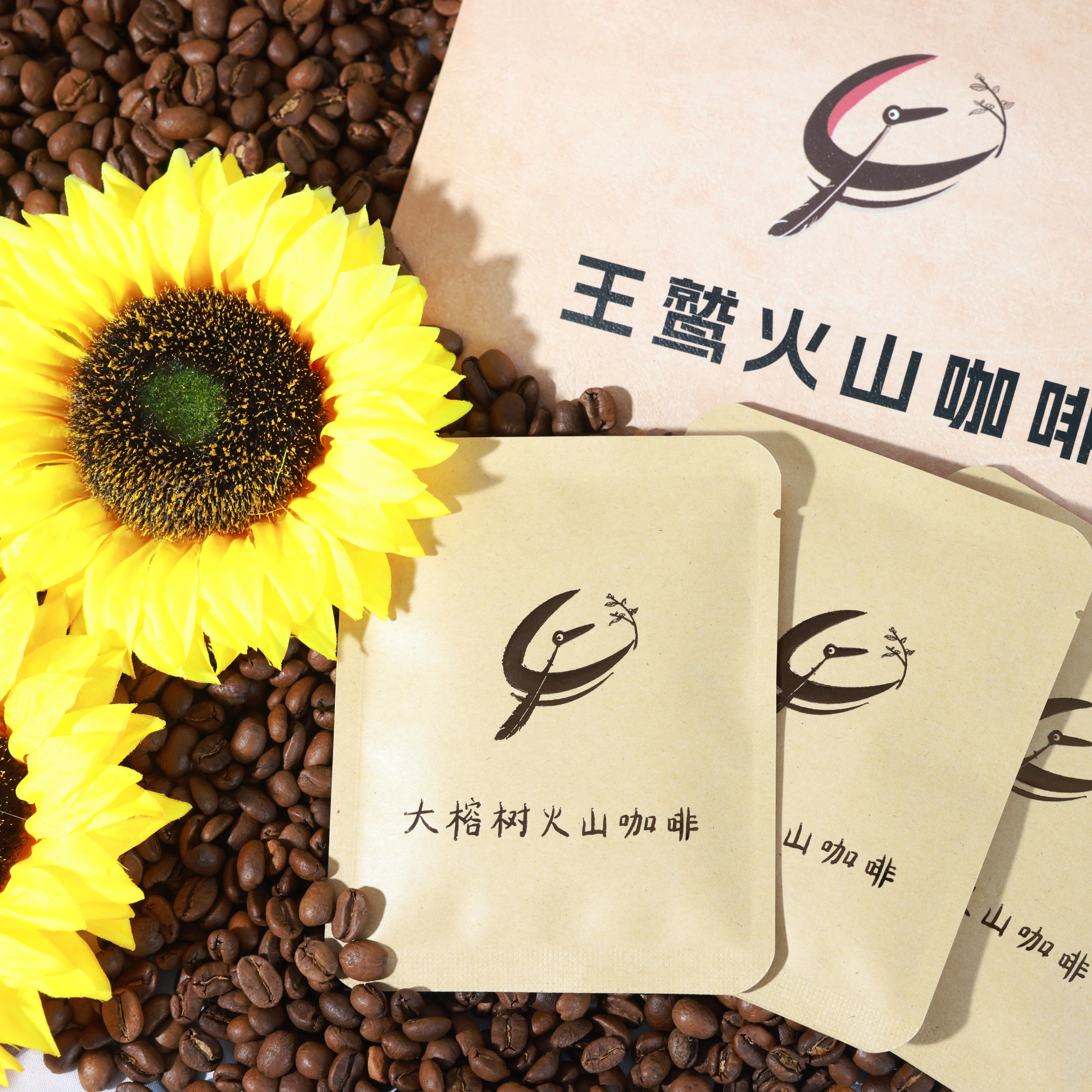 王鹫庄园精品挂耳咖啡5袋*10g*航海系列盲盒*哥斯达黎加进口阿拉比卡美式 盲盒1（航海系列） 中深烘