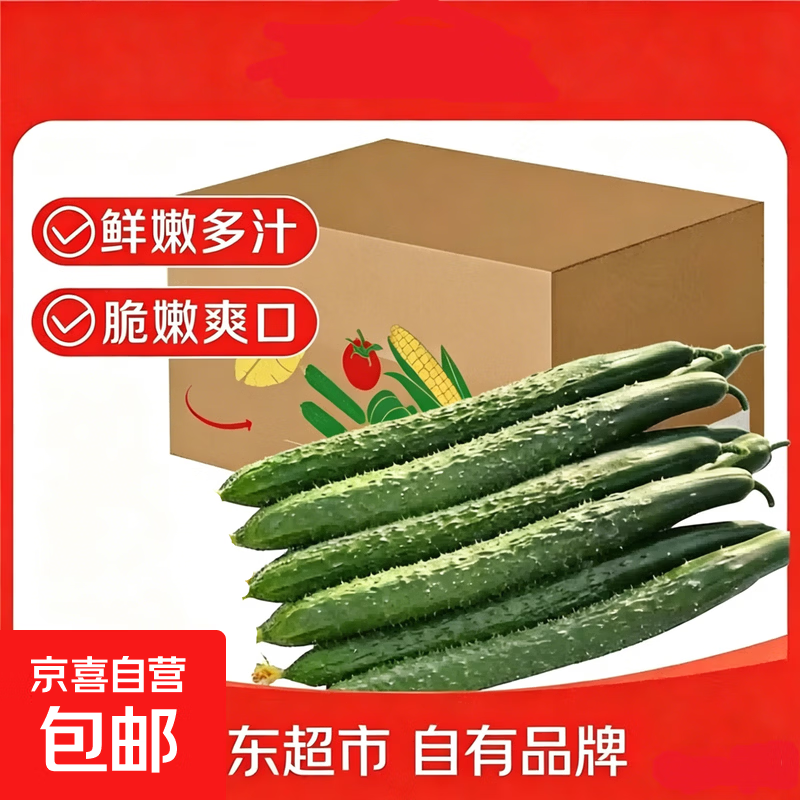 河南带刺长黄瓜  口感脆爽源头直发包邮 带刺长黄瓜 1斤