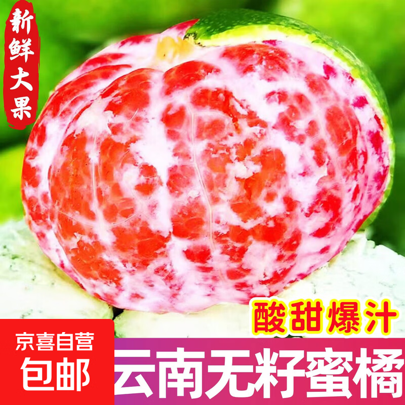 云南蜜桔早熟青皮橘子酸甜开胃新鲜应季孕妇水果绿皮酸橘桔子包邮 精选大果｜单果80-100g 3斤｜鲜嫩爆汁