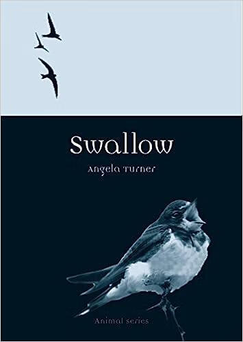 预订 swallow