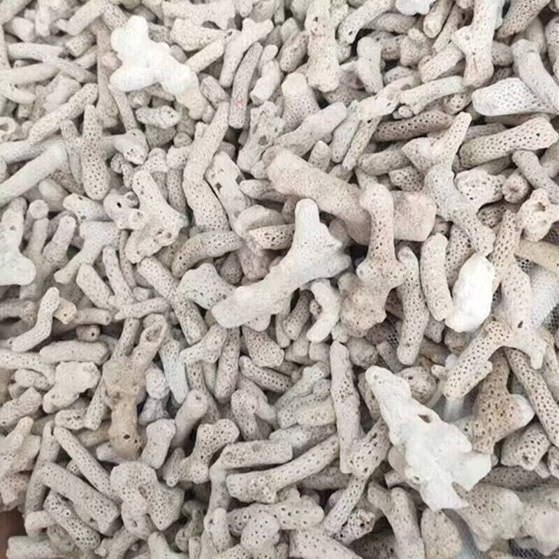 靠森(Kaooseen)鱼池过滤材料鱼缸珊瑚骨火山石陶瓷环细菌屋活性炭生化纳米球滤材 珊瑚骨 50斤 【配10个网袋】