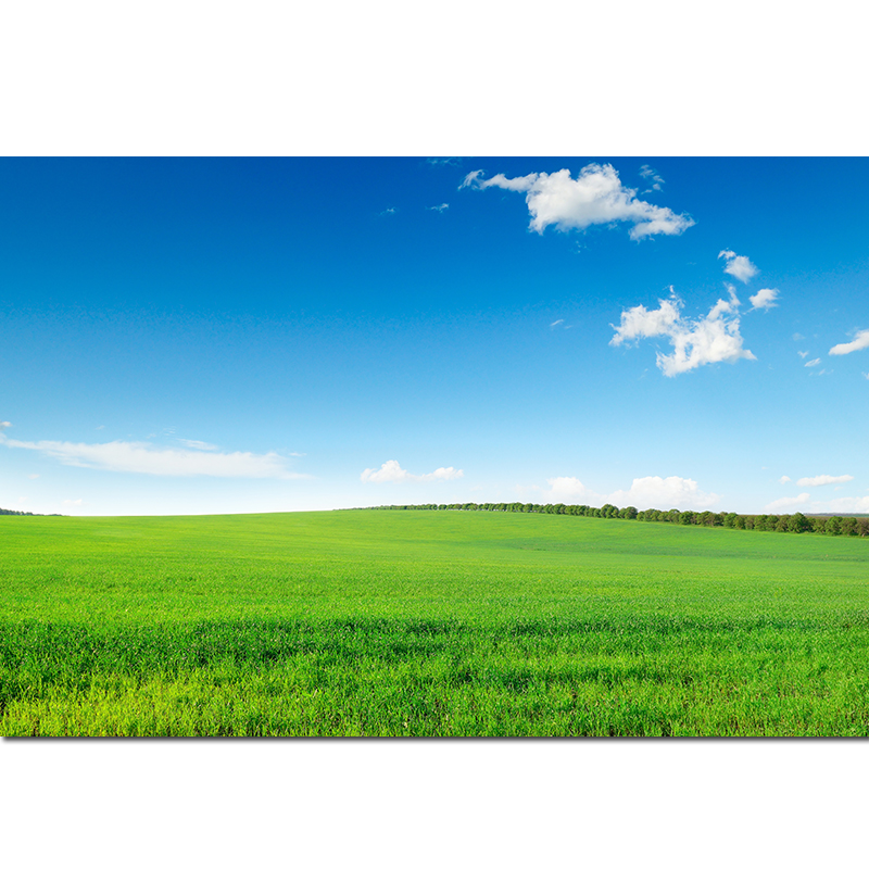 大草原风景画自然风光蓝天白云草地客厅餐厅背景墙装饰画简约挂画