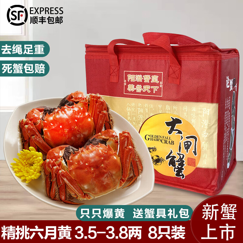 【活蟹】阳澄帝 大闸蟹鲜活  现货特大螃蟹公蟹母蟹精品礼盒装 精品六月黄3.5-3.8两  8只装