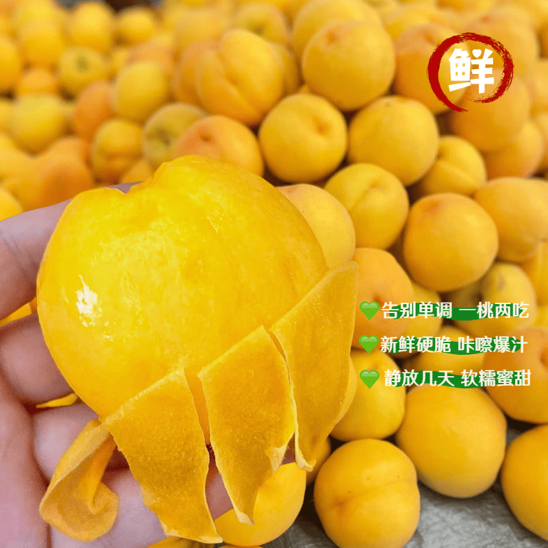 顺丰包邮襄阳现摘黄桃应季鲜果脆甜多汁产地直发整箱装专属 4.5斤大果(单果约180g左右,约12个及以内)