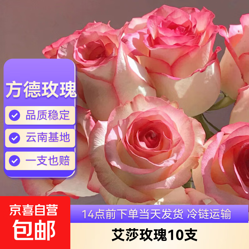 云南鲜花基地直发玫瑰花母亲节520送妈妈暖心礼物 【热销款】方德40-50cm爱莎10支