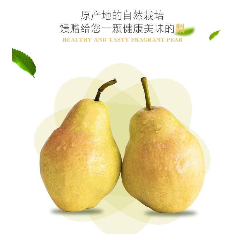 格沃斯太婆梨水果彩软糯红啤梨香蕉梨子大头梨新鲜当季整箱茄梨新鲜水果 新鲜太婆梨3斤