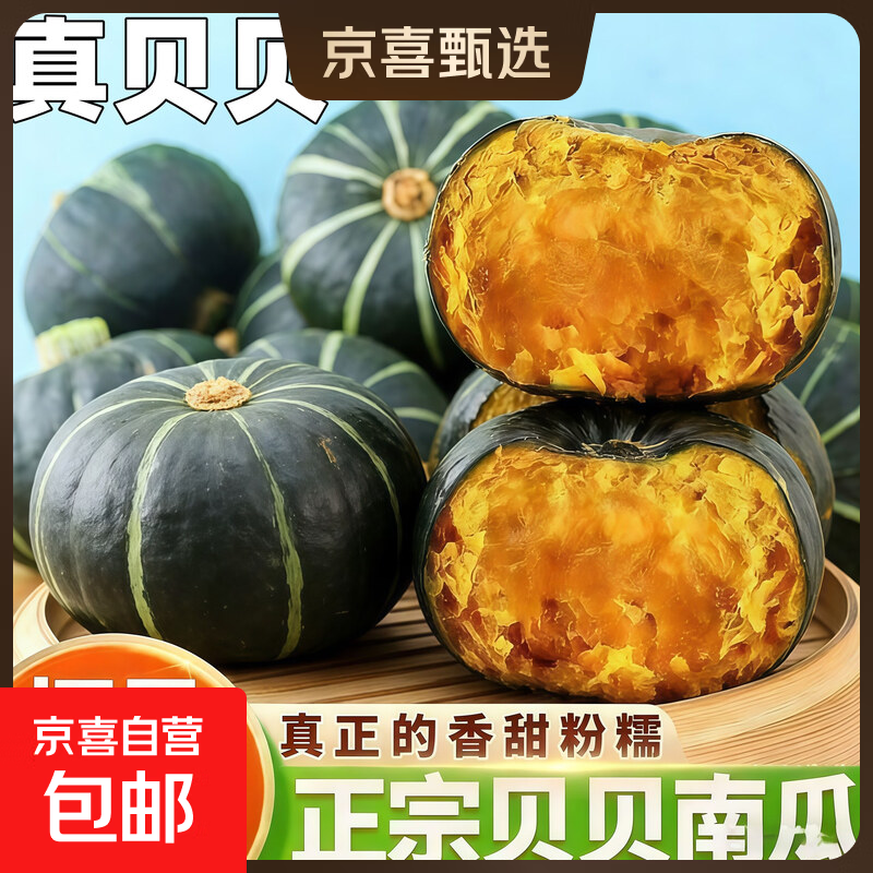 贝贝南瓜新鲜板栗味粉糯香甜孕妇宝宝辅食蔬菜小南瓜果园现摘现发 精选实惠装 2斤 真贝贝更粉糯香甜
