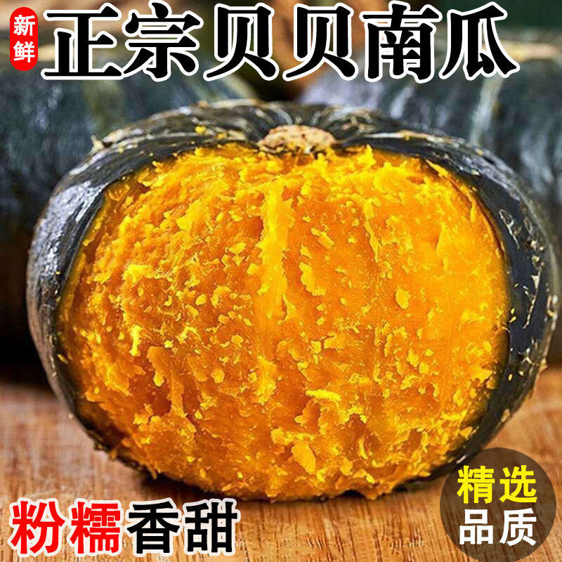 春福乐 正宗贝贝南瓜【闪送-源头直发】板栗南瓜香甜粉糯老瓜蔬菜 5斤 S+精选装【老农手挑】净重4.5斤