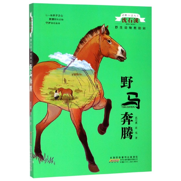 野马奔腾/野生动物救助站/动物小说大王沈石溪