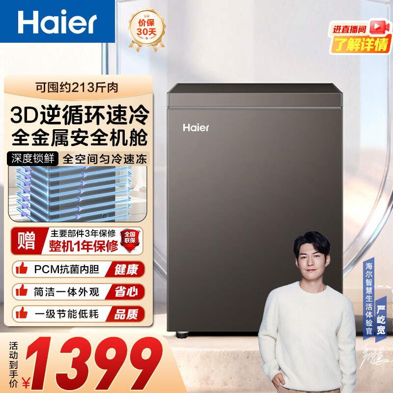 海尔（Haier）100升彩色低霜家用商用 冷藏柜冷冻柜冰柜小型小冰箱小型冷柜BC/BD-100GHPG5DX 钛金灰 100L