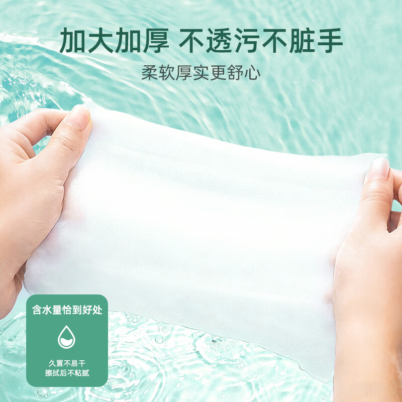 内庭上用北京同仁堂 洋甘菊精粹奢护湿巾湿厕纸【60抽/包】擦除99.9%细菌 【有痔专享】 60抽*5包