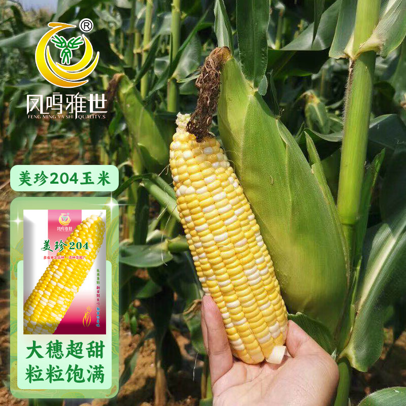 ������������ˮ���������������������ͺ�������������204��������50��