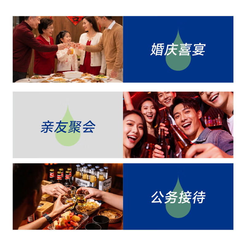 何必醉加强plus版 姜黄植物饮葛根姜黄饮料聚会团建饮料葛根药食同源 8盒【囤货送礼】