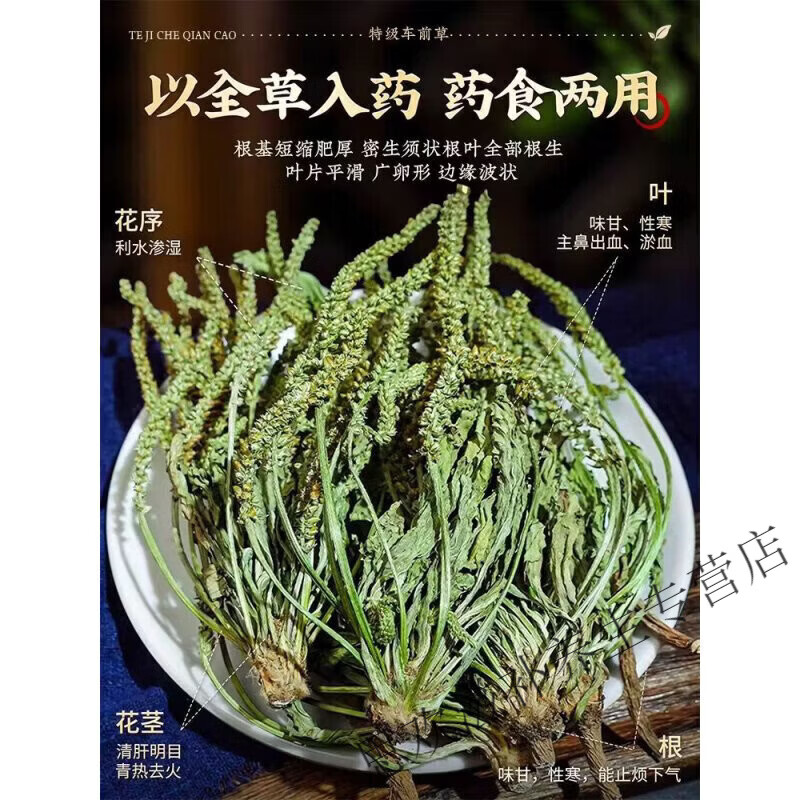 同仁堂正宗特级黑龙江野生车前草中药材无硫新货清热利尿泡水养生茶 甄选车前草当季采摘 125g*8罐