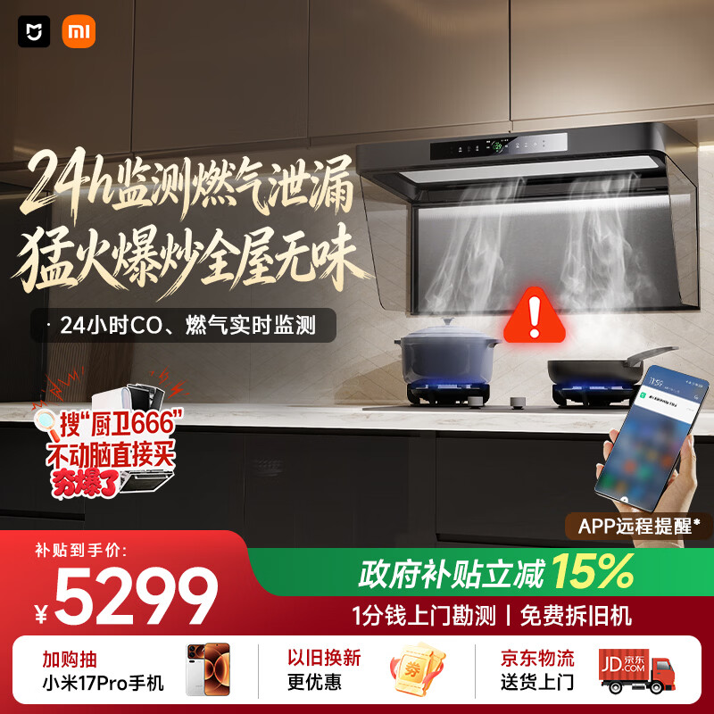 米家小米抽吸油烟机炉灶套装净烟机P2以旧换新上门安装家用大吸力 【高热效燃气灶套装】MJ06CY
