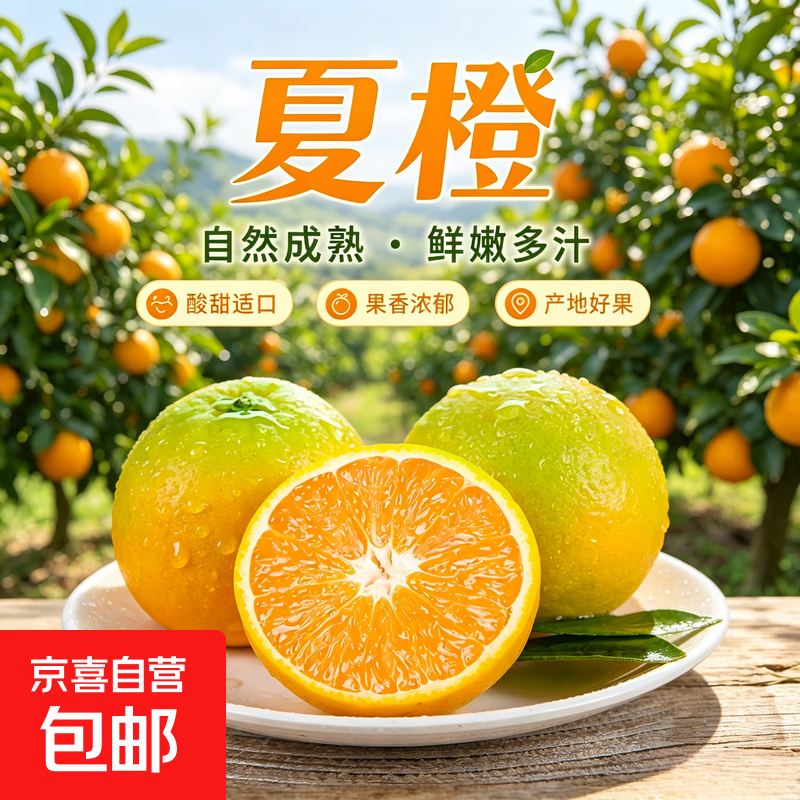 夏橙皮薄饱满多汁新鲜伦晚橙果冻橙礼物超市特产橙一级精品 带箱9斤-净果8.5斤 60起果径