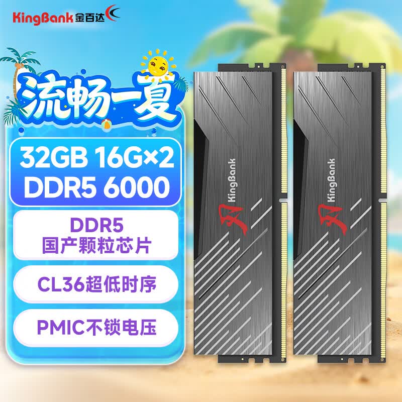 金百达（KINGBANK）32GB(16GBX2)套装 DDR5 6000 台式机内存条国产颗粒 黑刃无灯 C36 适配黑神话悟空 