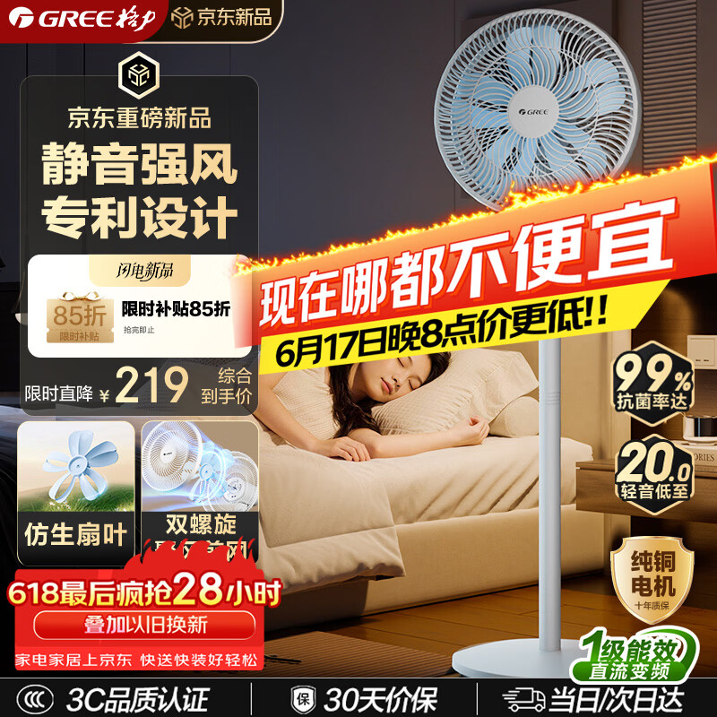 格力（GREE）【花精灵Se毕雯珺同款】一级能效直流变频轻音节能遥控电风扇卧室落地扇大风量静音家用风扇