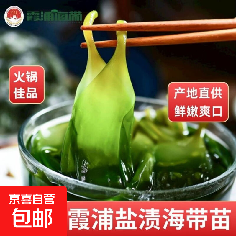 霞浦生鲜盐渍海带苗昆布无沙火锅麻辣烫凉拌炒菜（直播专享） 100g*1袋盐渍海带苗