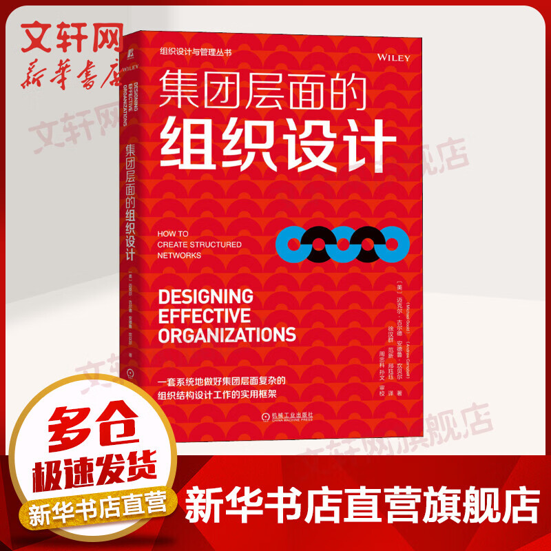 集团层面的组织设计 大师力作！为解决复杂的组织设计问题提供了严谨的路径 图书