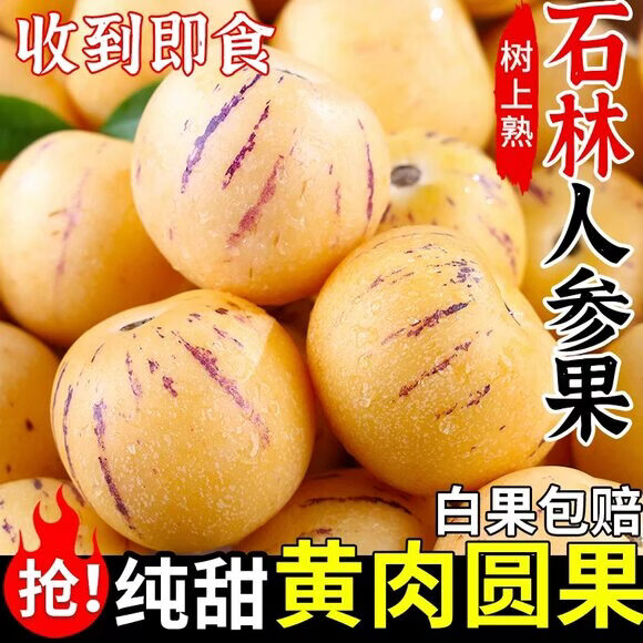 云南石林人参果圆果树上熟人生果水果当季孕妇现摘新鲜水果整箱发 5斤甄选果王【单果110g以上】净重4.5斤