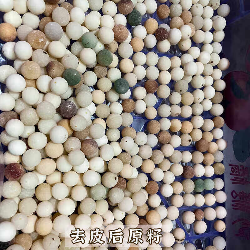 菩提子原籽白玉菩提根原籽原果未打磨原料贝叶棕去皮大果散珠风化 带皮20-22mm一斤装【约60颗】