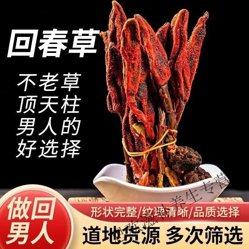 同仁堂药房同款正宗回春草云南深山不老草顶天柱男性滋补泡水泡酒 无硫野生回春草 500g*2包
