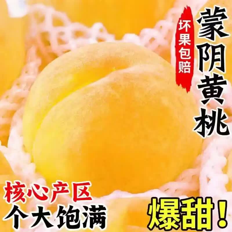 三萌果蔬正宗蒙阴黄桃 山东当季新鲜现摘黄毛桃桃子水果节日送礼 5斤精选果【单果100g+】净重4.5斤