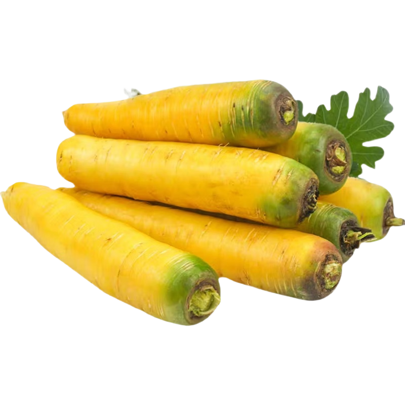 京鲜生山东带泥黄胡萝卜 净重2斤 单果100g+ 新疆手抓饭辅料 源头直发