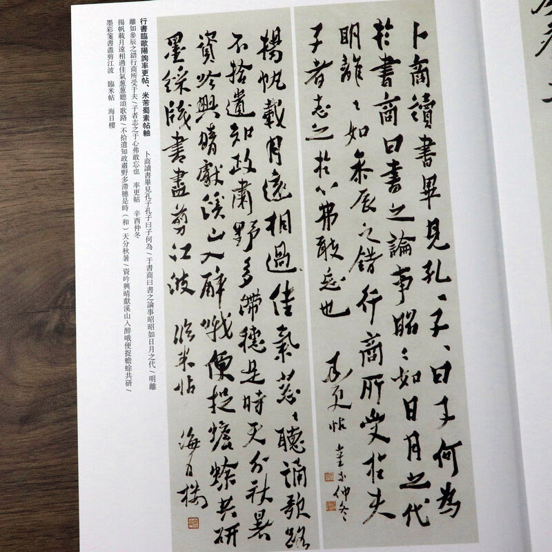 现货速发 沈曾植 历代名家书法经典胡峡江附繁体旁注80帖沈曾植行书草