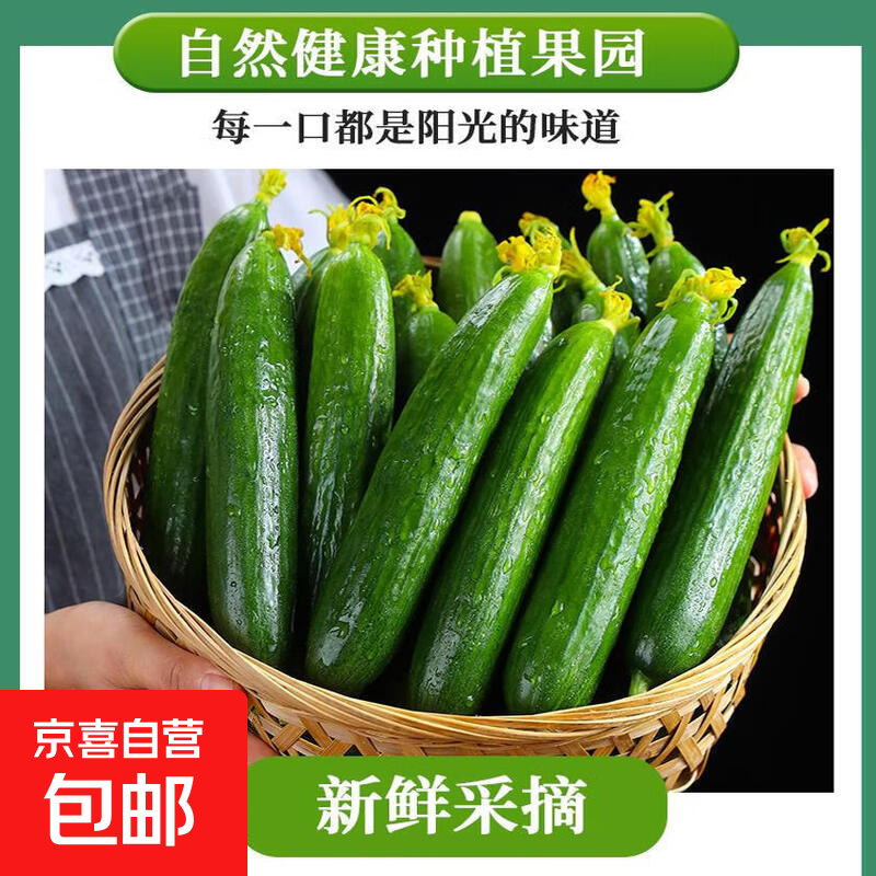 【东东买菜】山东水果黄瓜生吃荷兰无刺现摘脆嫩小青瓜当季蔬菜 带箱 1斤