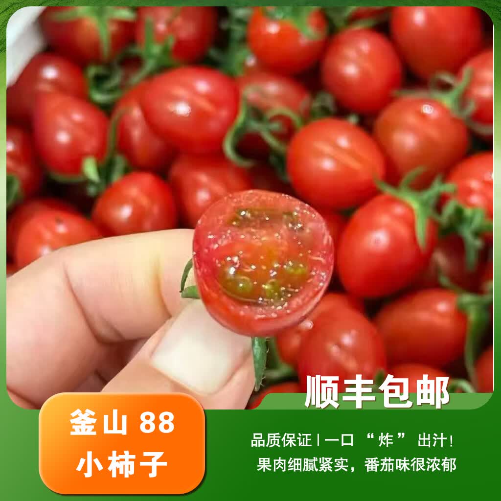 哆果乐  新鲜圣女果小番茄釜山88小柿子番茄味很浓郁爆汁甜2斤 釜山88小柿子番茄味很浓郁爆汁甜3斤