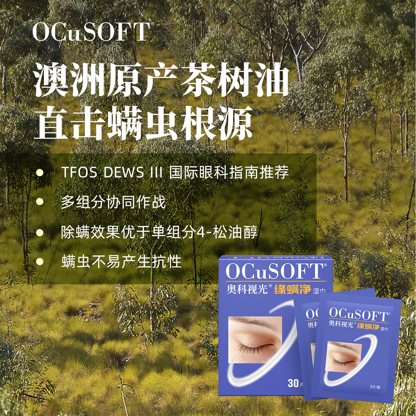 OCuSOFT【眼部除螨】缘螨净茶树油湿巾 掉睫毛专用除螨虫眼贴 专利配方 缘螨净湿巾1盒:30片