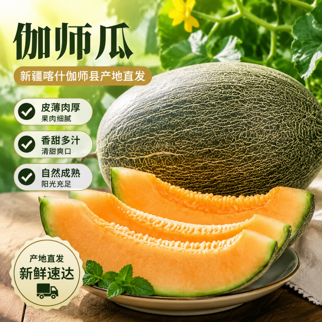 乡疆甜语新疆地标产品特色伽师瓜哈密瓜新鲜水果哈蜜瓜网纹瓜新鲜蜜瓜 【京东包邮】6-8斤装1枚装【高品质送礼装】 京东折扣/优惠券