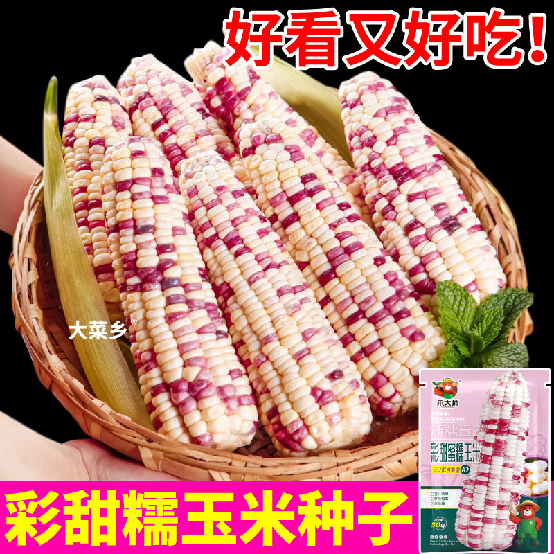 大菜乡彩甜糯玉米种子香软花糯玉米种籽白黄黑黏苞谷籽四季播种大田早熟 【彩甜糯+黄甜糯】玉米种子各1包(1包约50粒)+1包肥