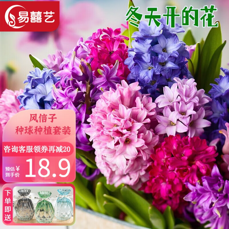花卉价格分析助手|花卉价格走势图