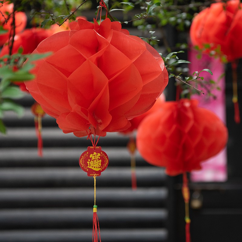 新年装饰灯笼挂饰春节新年布置灯笼小红灯笼新年装饰品商场灯笼挂饰拉花拉旗 蜂窝灯笼A款(长10cm直径12cm(10个装)