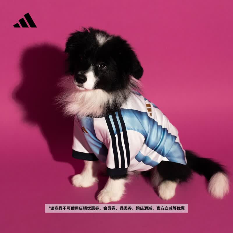 adidas阿根廷队世界杯宠物球衣狗狗猫咪衣服新款阿迪达斯三叶草 白色/冰晶蓝   XL