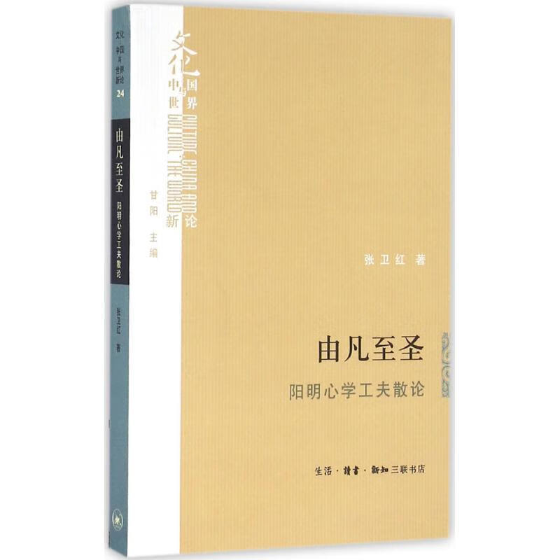由凡至圣:阳明心学工夫散论【正版好书，下单速发】