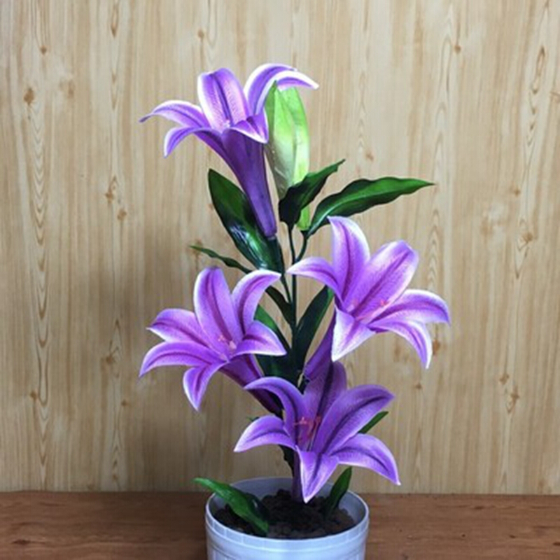 周金祥进口香水百合种球带芽四季绿植盆栽花卉室内外阳台花苗大种球 娇妻 不含盆