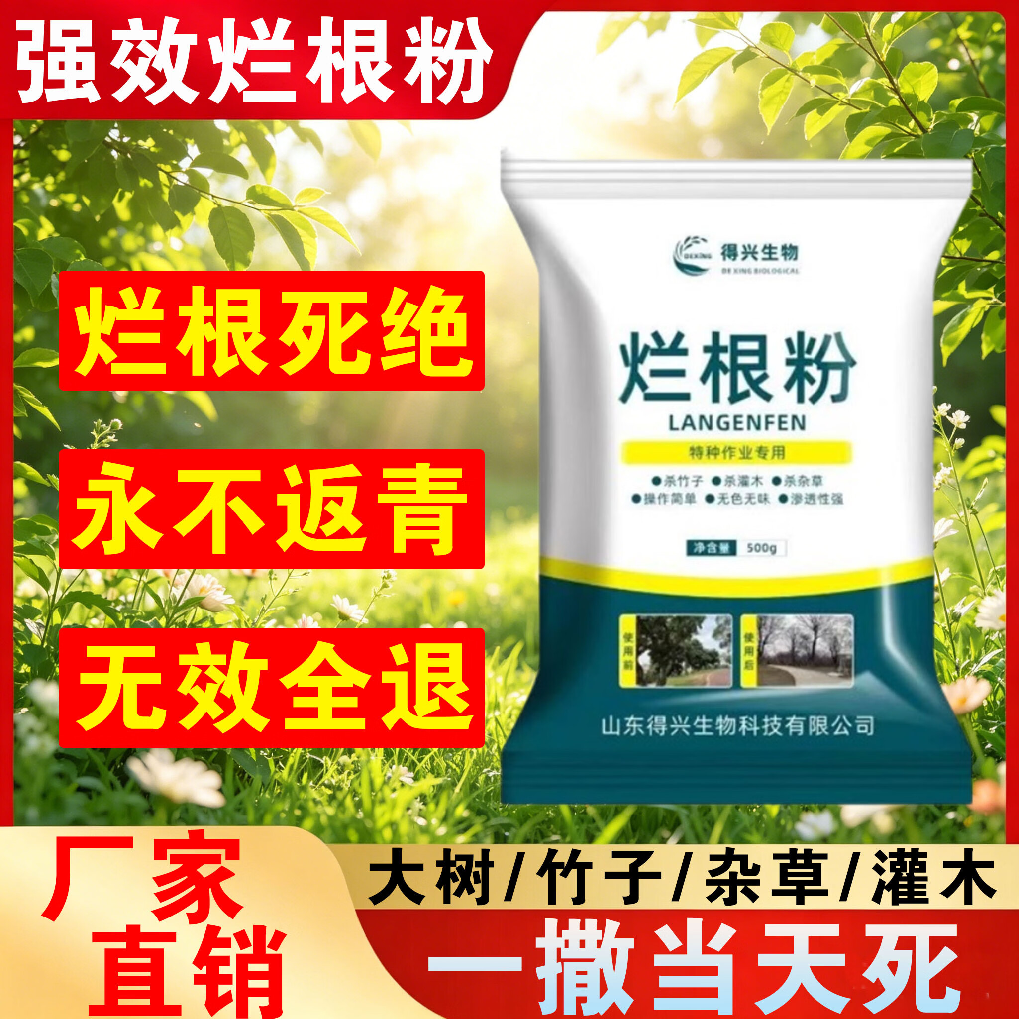 灭竹子专用烂竹根连强力除竹粉腐蚀竹根开荒地灌木杂草一扫光神器 买五袋发九袋【永不返青】