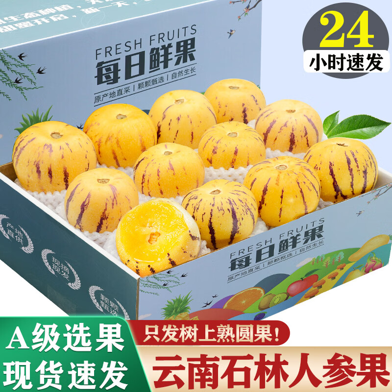 译蒙之味正宗云南人参果圆果树上熟人生果水果当季孕妇新鲜大果清甜整箱 小果5斤【单果30-60g】实惠