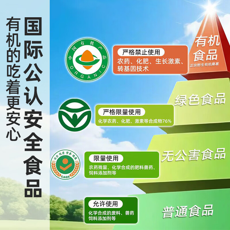 安济昌有机桑椹干260g安心严选搭枸杞养生泡水泡酒即食佳品 260g*2瓶