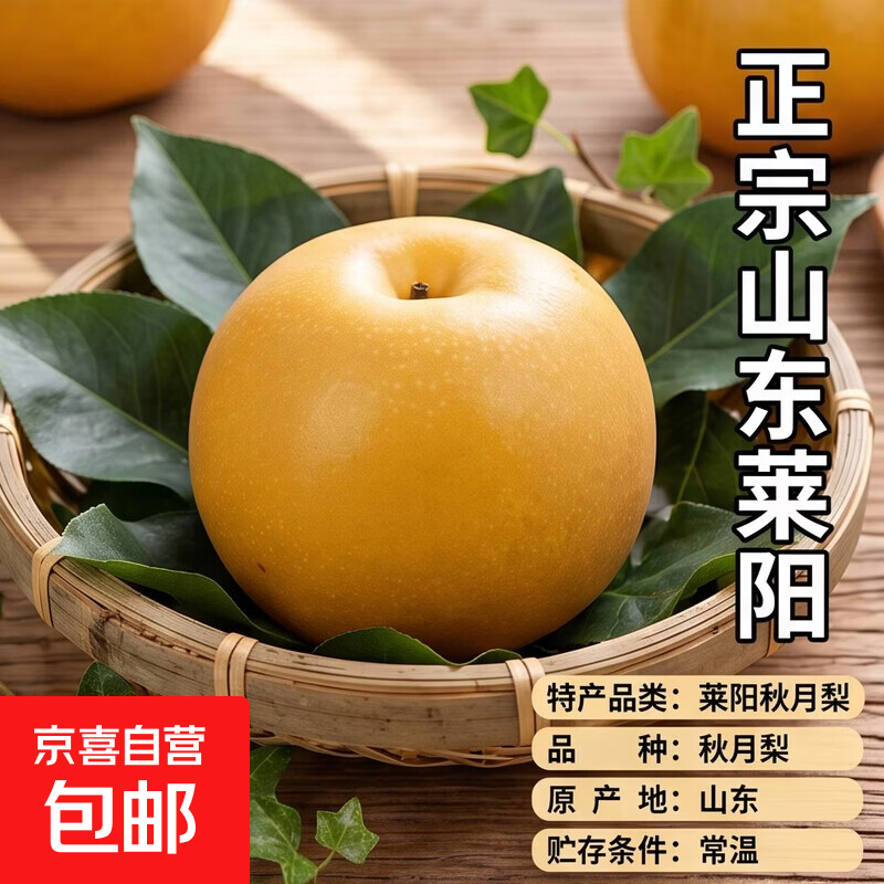 正宗山东莱阳羊脂秋月梨 冰糖黄梨子新鲜水果整箱 莱阳秋月梨净重8斤8-10个果单果200g