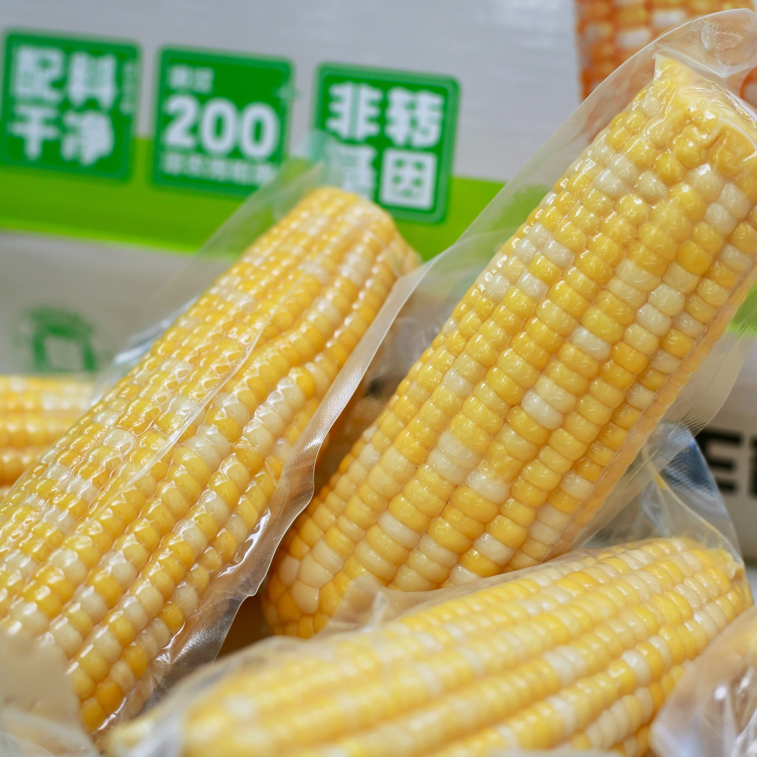 玉之芯高叶酸金银甜糯玉米6根内蒙科尔沁种植花糯鲜食玉米真空锁鲜包装 260g*6根