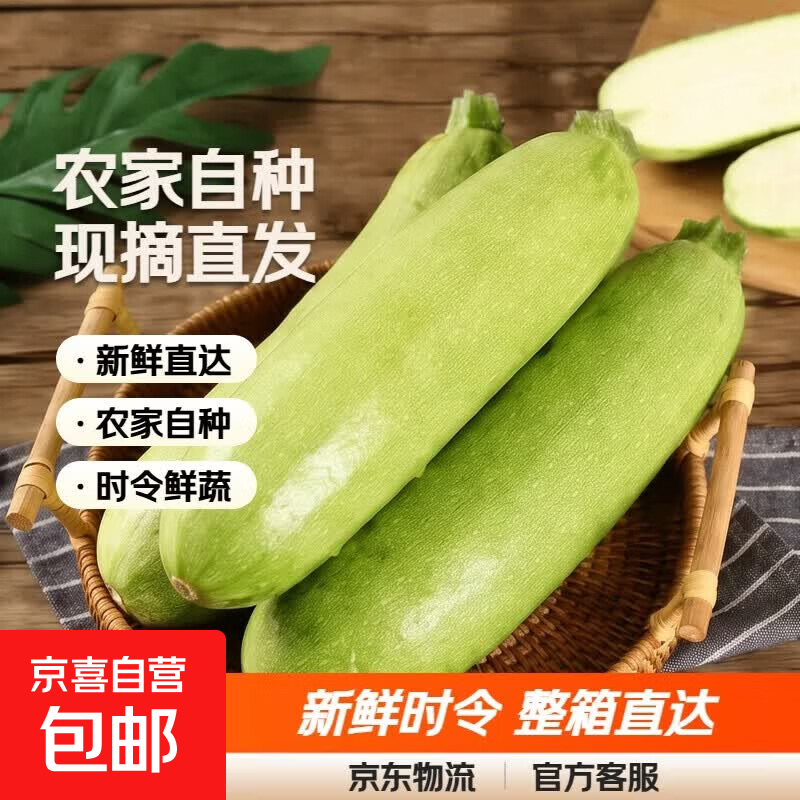 农家新鲜西葫芦农家自种蔬菜茭瓜新鲜现摘农场直发新鲜时令蔬菜 整箱2斤